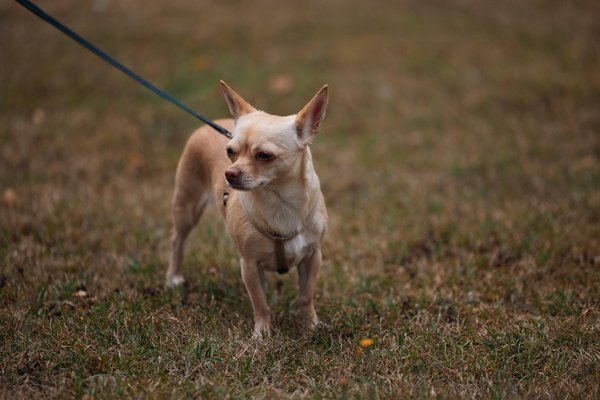 Ist Mode für Frauen heute umweltbewusst gestaltet?