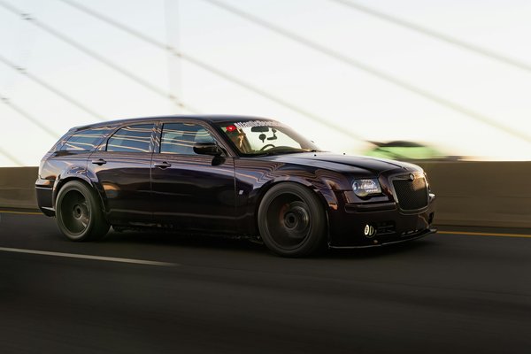 Wie kann man die Intelligenz von Haustieren messen?